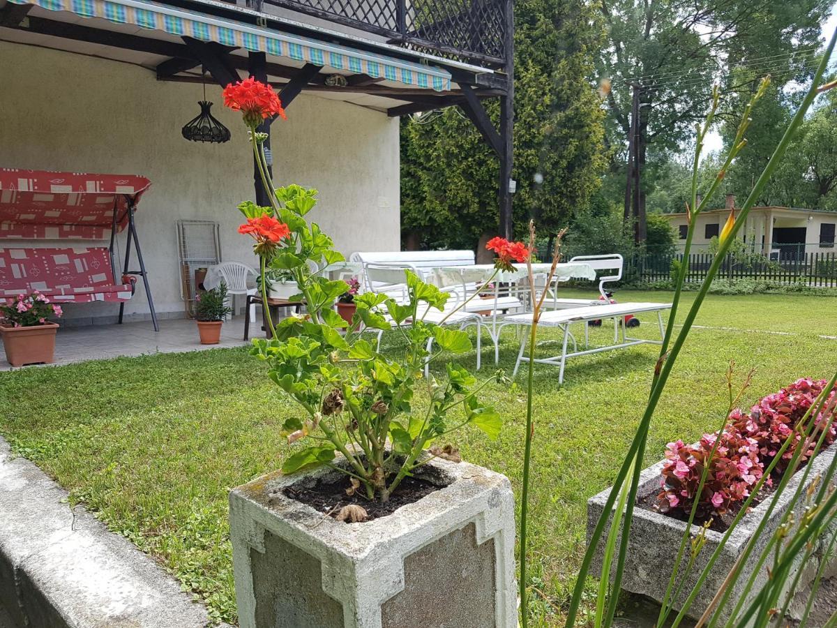 Villa-negra Retro Panzio Bed & Breakfast *